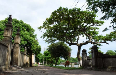 Thăm ba ngôi làng cổ đẹp tuyệt vời ở Bắc Bộ\